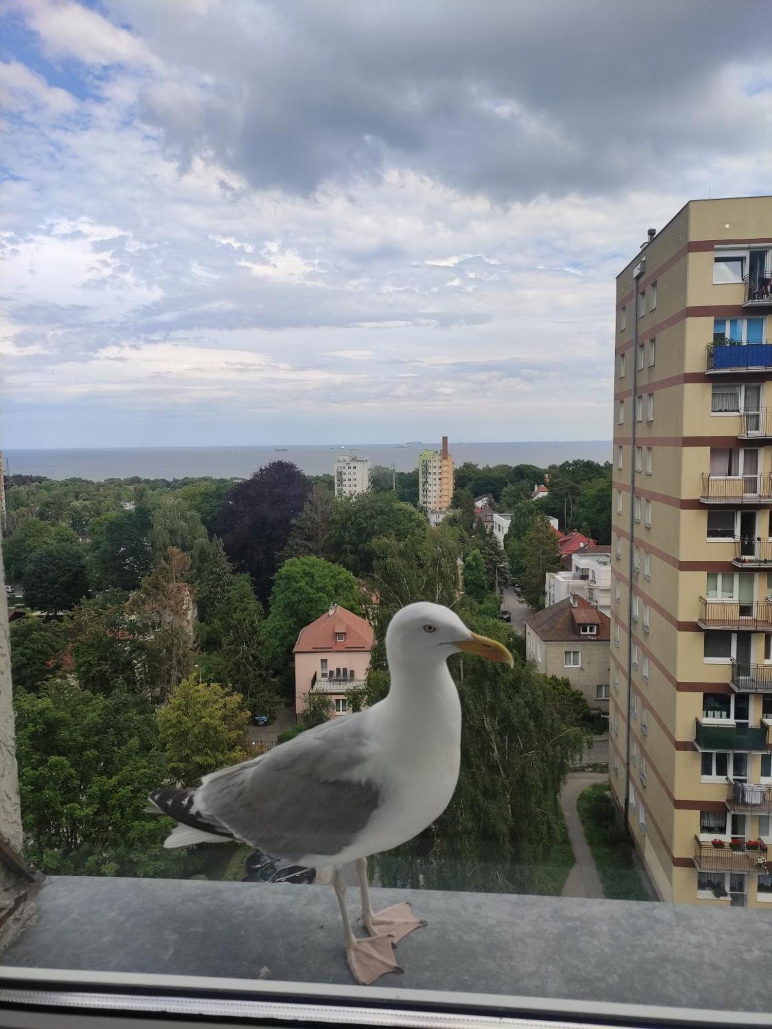 Апартаменты Apartament Widokowo Сопот Экстерьер фото